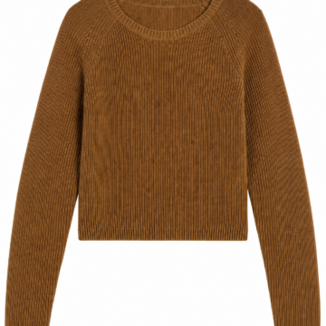 Brown Cropped Crew Neck Ribbed Sweater